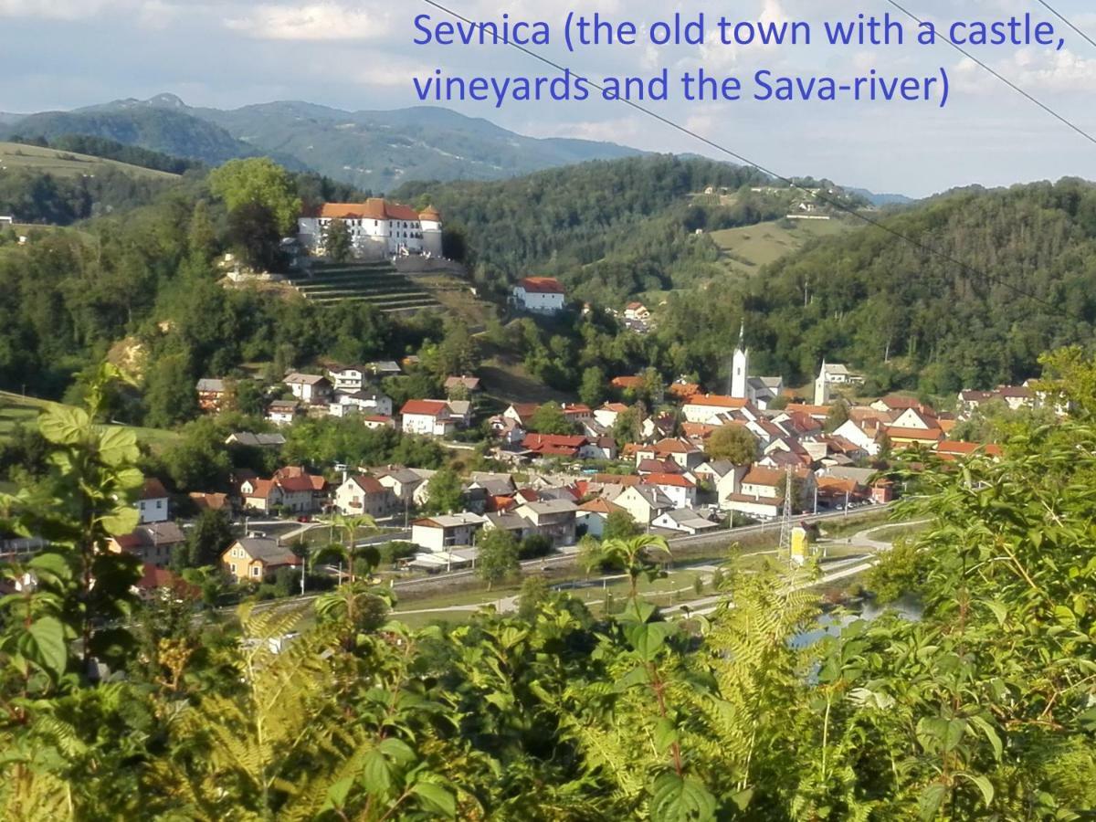 Getaway "At The Three Lights" Villa Sevnica Exteriör bild