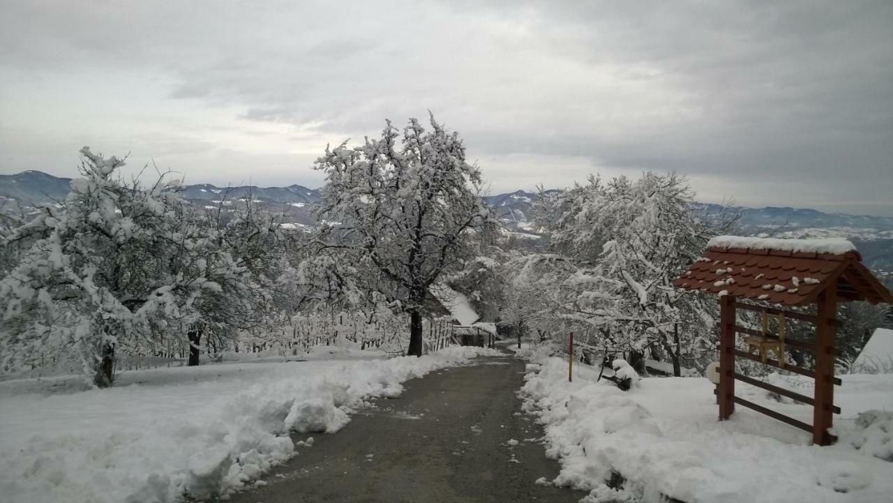Getaway "At The Three Lights" Villa Sevnica Exteriör bild
